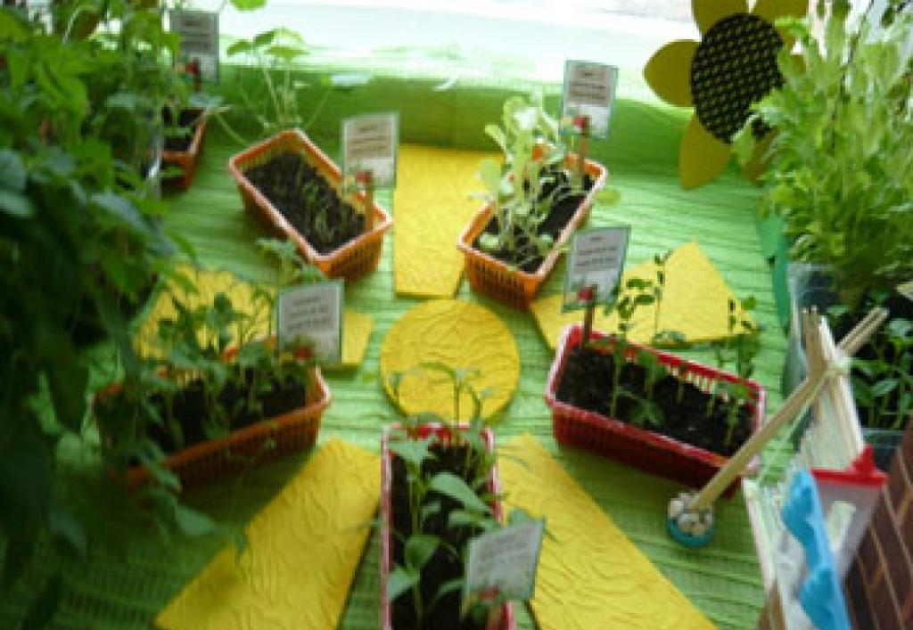 Идеи для оформления окна «Огород на окне Сказочный огород в детском саду как оформить