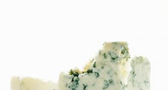 Сыр с плесенью: польза и вред, противопоказания