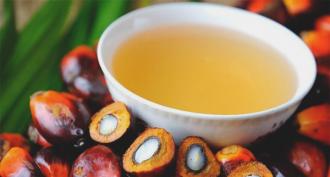 Palmový olej – zdravotné benefity a škody Ako palmový olej vplýva na organizmus