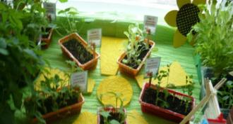 Ide untuk dekorasi jendela “Kebun sayur di jendela Kebun sayur dongeng di taman kanak-kanak cara mendekorasi